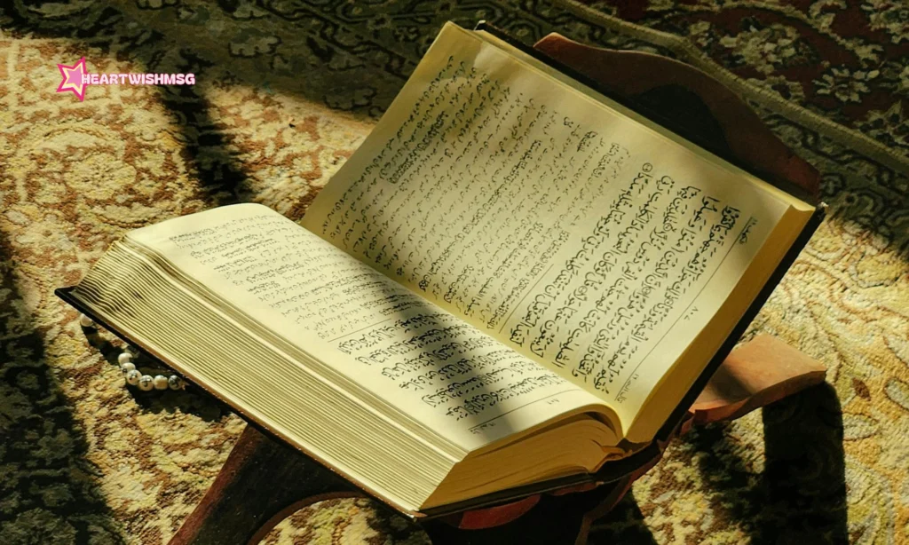 Daily Signs of Allah’s Mercy