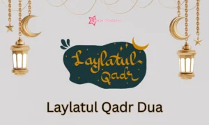 Read more about the article Best Duas for Laylatul Qadr (With Arabic & English Translations)