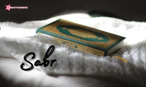 Read more about the article 100+ Powerful Sabr Quotes from the Quran and Hadith